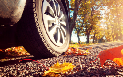 Bescherm je auto tegen herfst afval