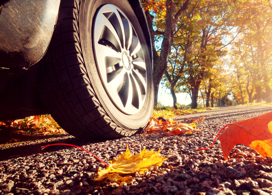 Bescherm je auto tegen herfst afval